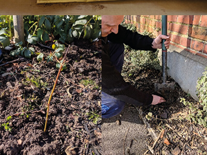 New Tree Saplings Planted at Lincoln UTC