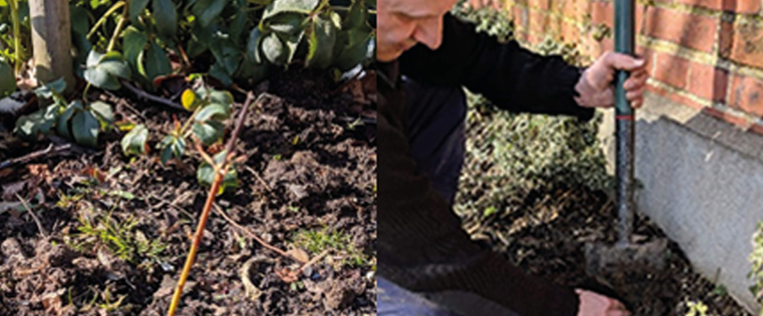 New Tree Saplings Planted at Lincoln UTC